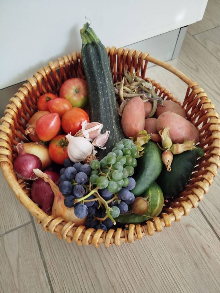 Comment composer un panier midi fruits et légumes idéal pour toute la famille à Lyon Comment composer un panier midi fruits et légumes idéal pour toute la famille à Lyon